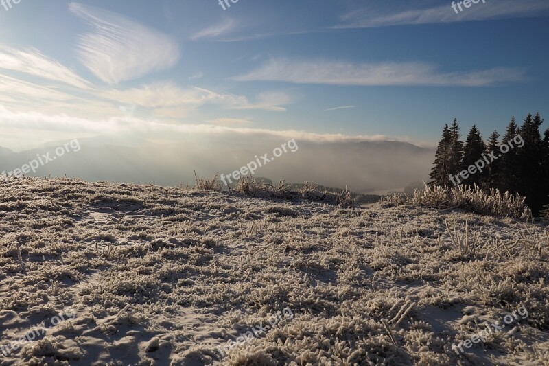 Wintry Winter Snow Snowy Winter Magic