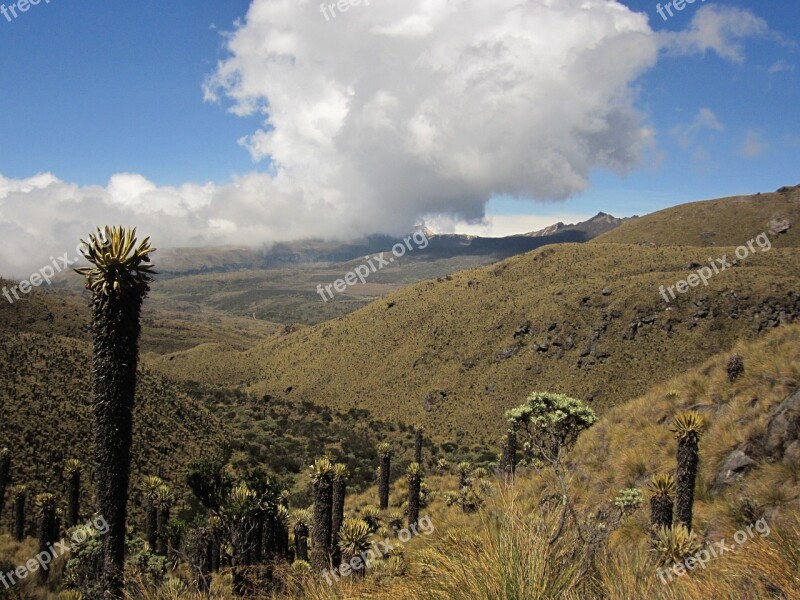 Landscape Cloud Frailejón Mountain Free Photos