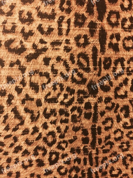 Leopard Print Animal Print Backdrop Animal Leopard