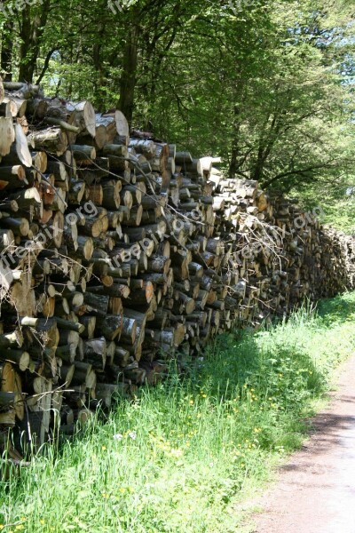 Wood Forest Wood Pile Green Grass