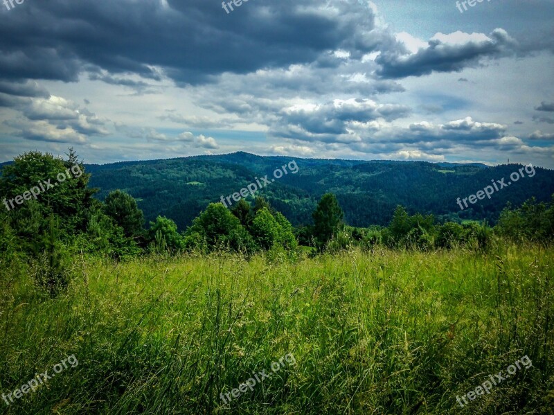 Muszyna Mountains Holiday Meadow Summer