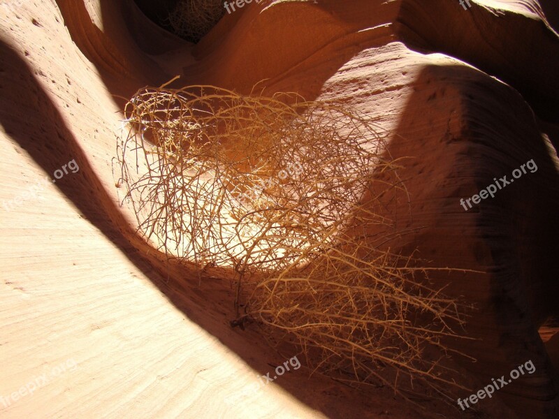 Desert Tumble Arizona Desert Canyon Red