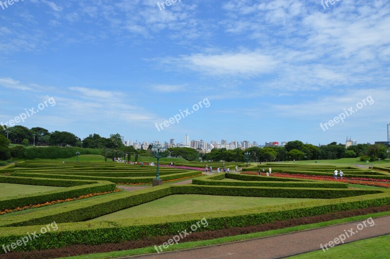 Garden Botanical Garden Nature Botanist Green