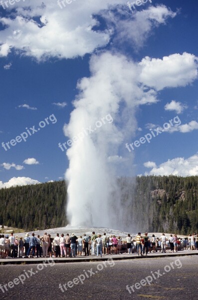 Geyser Yellowstone Park Power Of Nature Fountain