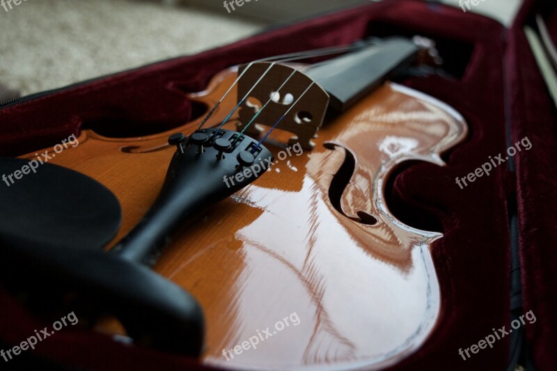 Violin Bridge Violin Instrument String Wood