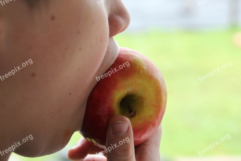 Apple Bite Feed Eat Vitamins