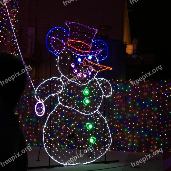 Disney Osborne Lights Family Fun Free Photos