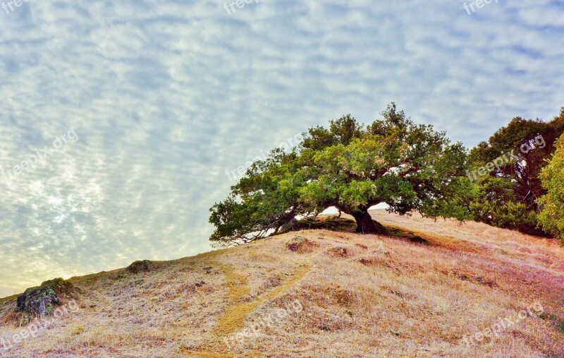 Marin County California Tamalpais Park Sky Clouds