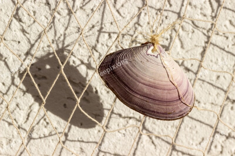 Shell Web Deco Fishing Net Decoration