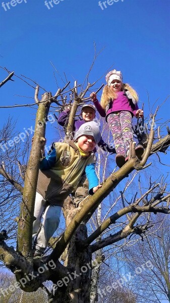 Climbing Children Fun Tree Playground