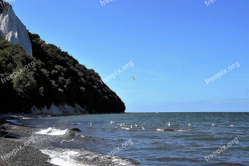 Rügen Chalk Cliffs White Cliffs Sea Germany