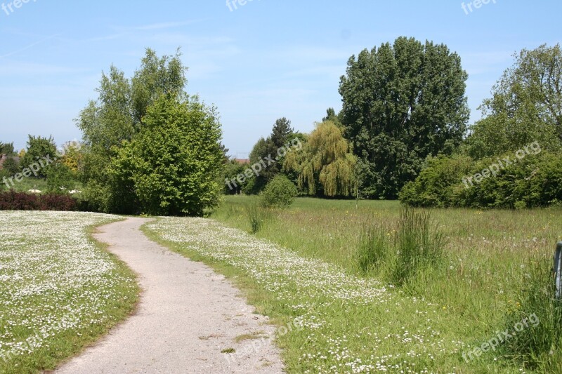 Fields Countryside Landscape Hill Summer