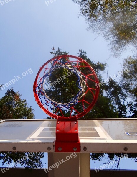 Basketball Basket Game Sport Free Photos