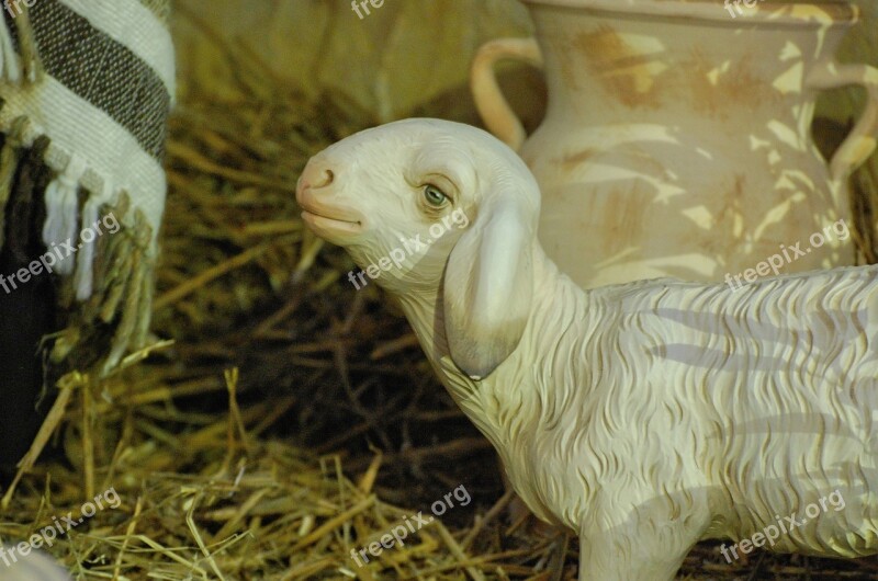 Sheep Crib Christmas Nativity Scene Stall