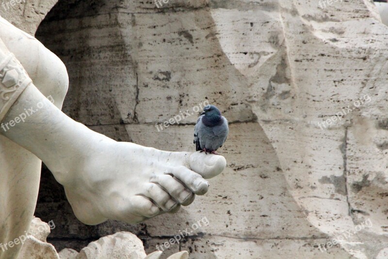 Dove Monument Fountain Sculpture Tourism