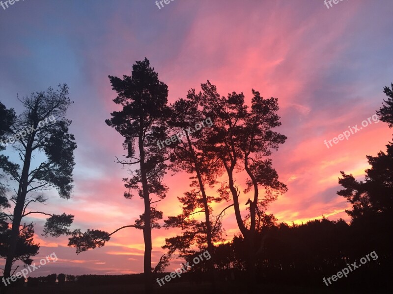 Trees Colourful Sky Bright Sunset Silhouette