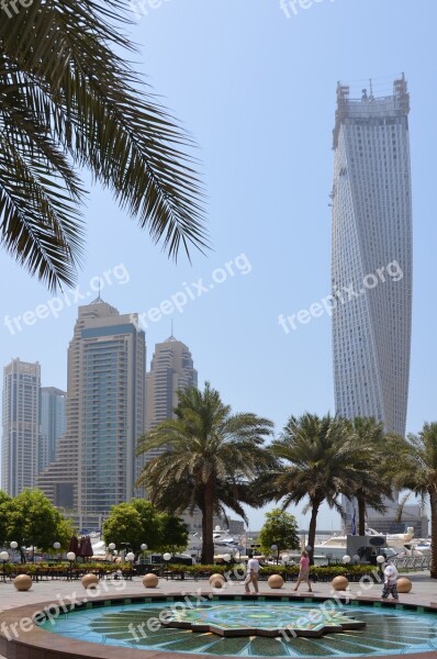 U A E Vacations Dubai Sun Palm Trees