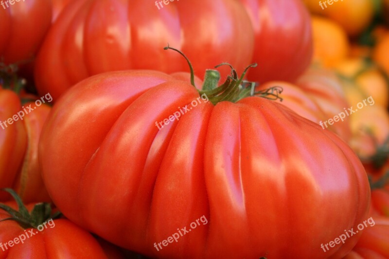 Tomatoes Fresh Vegetables Vegetarian Red Natural