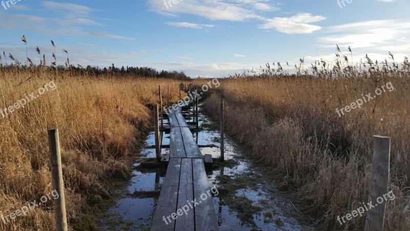 Duckboards Nature On The Road Camping Nature Photo