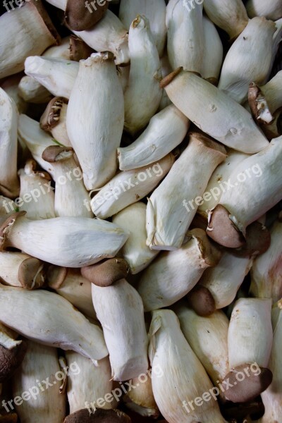 Mushrooms Delicious Market Purchasing Fruit