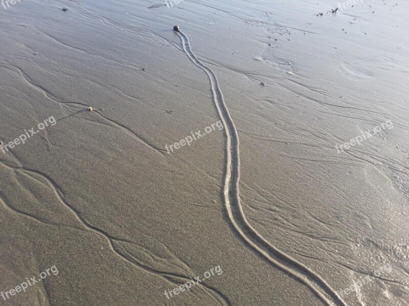 Sand Sea Sandy Following In The Footsteps Nature