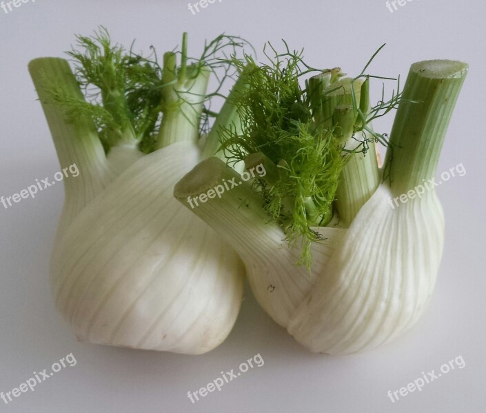 Fennel Vegetables Healthy Food Fresh