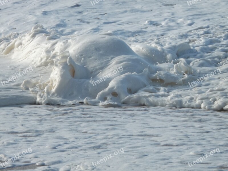 Scum Beach Ocean Sea Sand