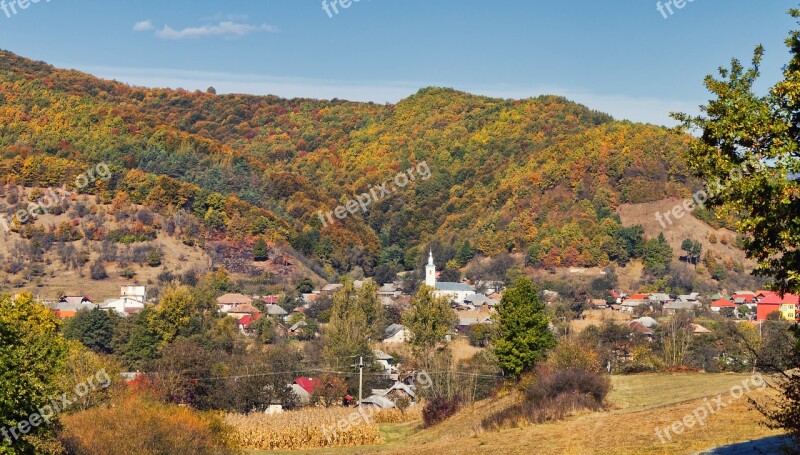 Fall Landscape Nature Autumn Forest