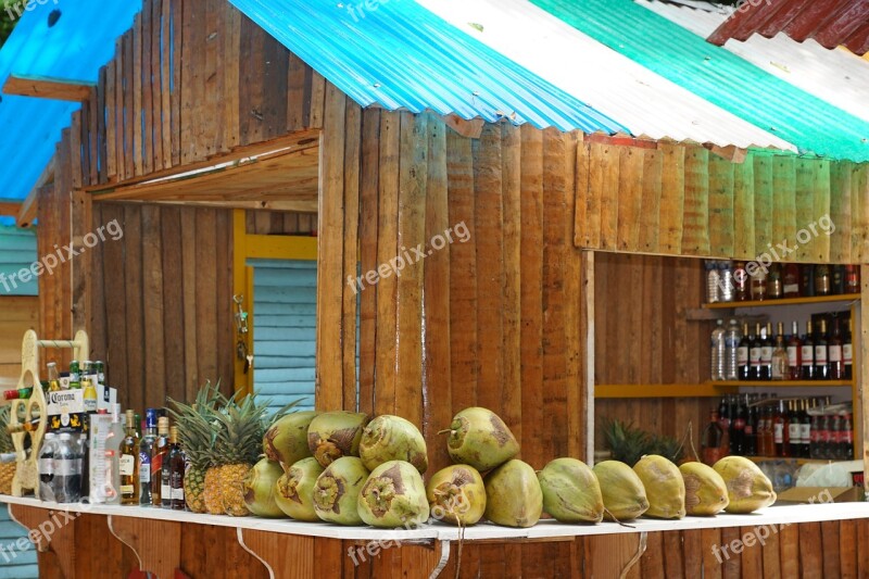 Coconut Bar Caribbean Exotic Market