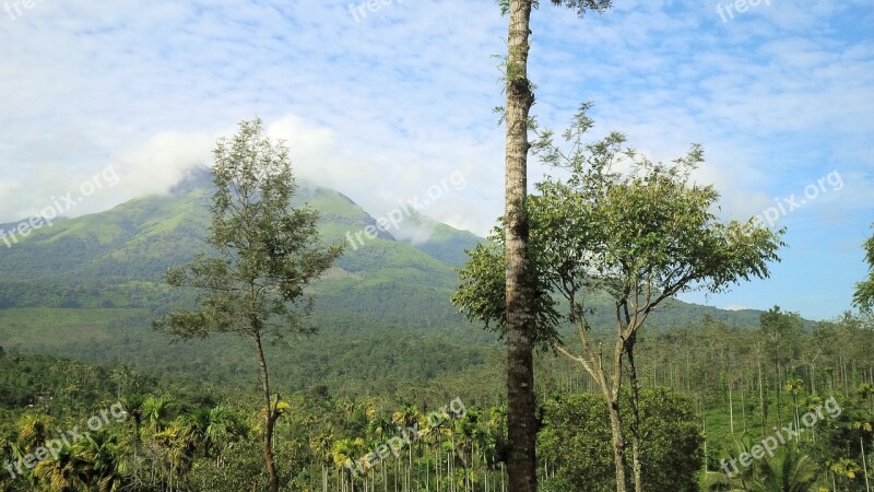 Nature Landscape Hills Green Kerala