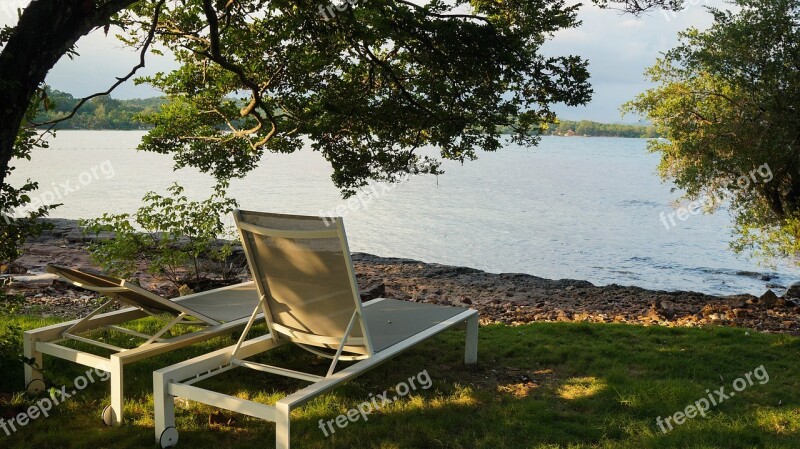 Sea Tree Beach Chair Tranquil Island