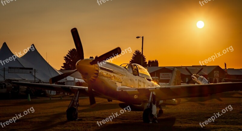 P-51 Military Fighter Aircraft Aviation