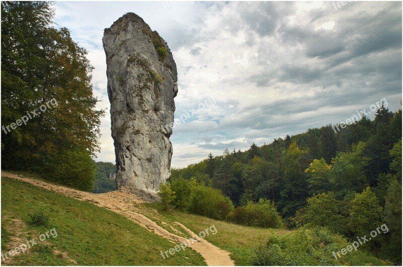 Hercules's Mace Rock Pieskowa Skała Castle Nature Forest