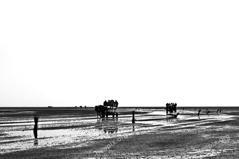 North Sea Wadden Sea Cuxhaven Coach Watt Car