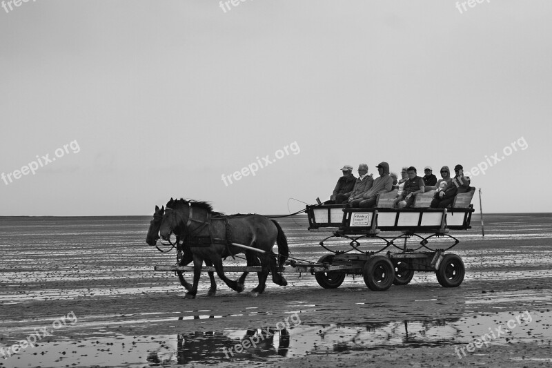 North Sea Wadden Sea Watt Car Neuwerk Cuxhaven