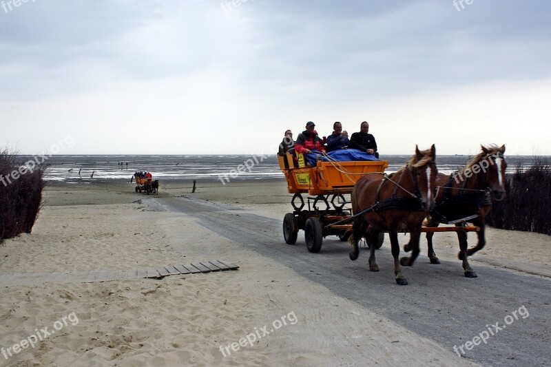 Cuxhaven North Sea Watts Wadden Sea Coach