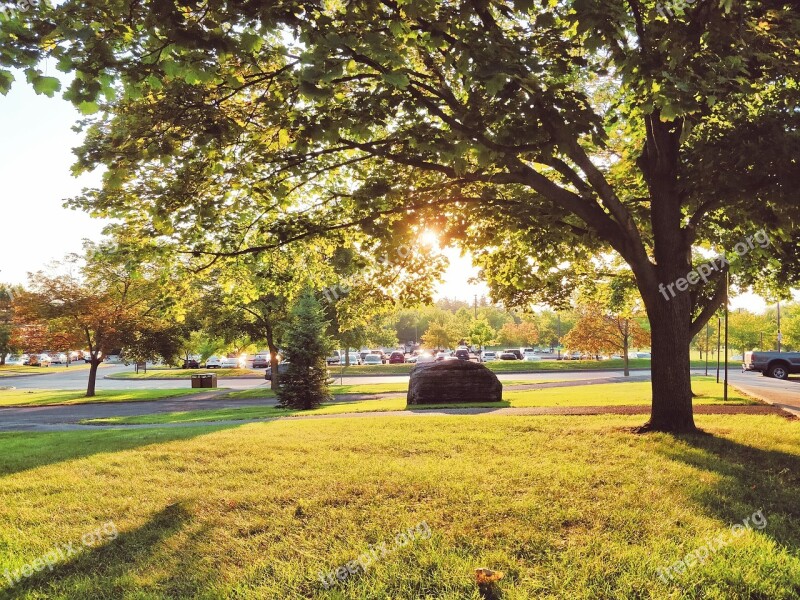 Cornell Autumn Autumn Scenery Golden Yellow Sunshine