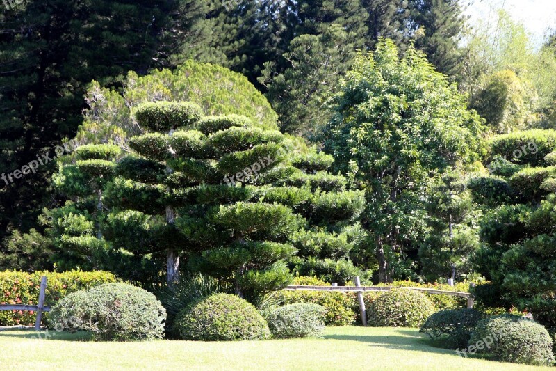 Park Design Landscape Green Summer