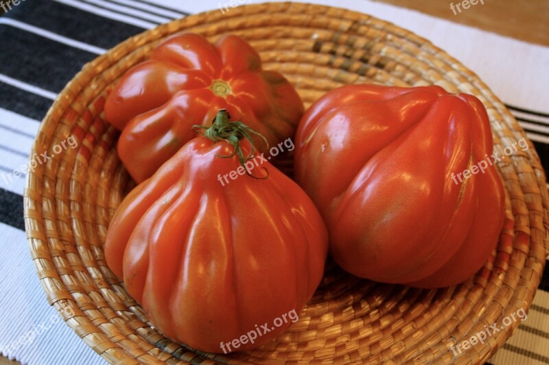 Tomatoes Vegetables Red Coeur De Boeuf Mediterranean