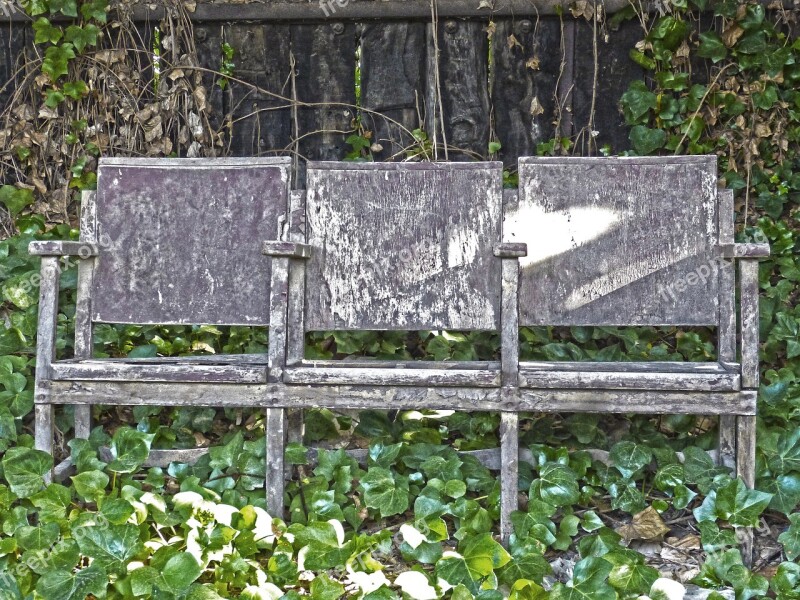 Cinema Chair Abandoned Ivy Seats Free Photos