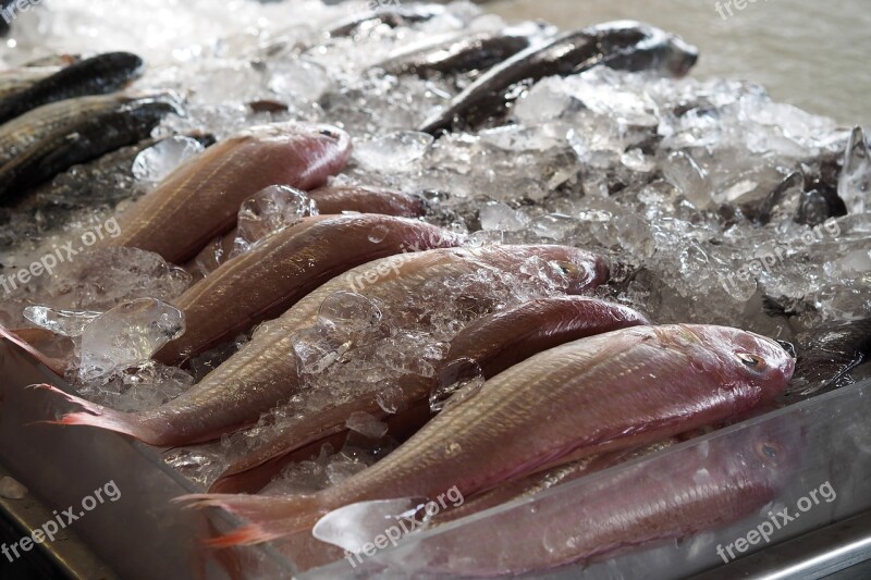 Fish Market Fresh Raw Materials Cook