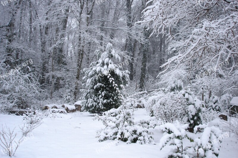 Snow Trees Winter Cold Nature