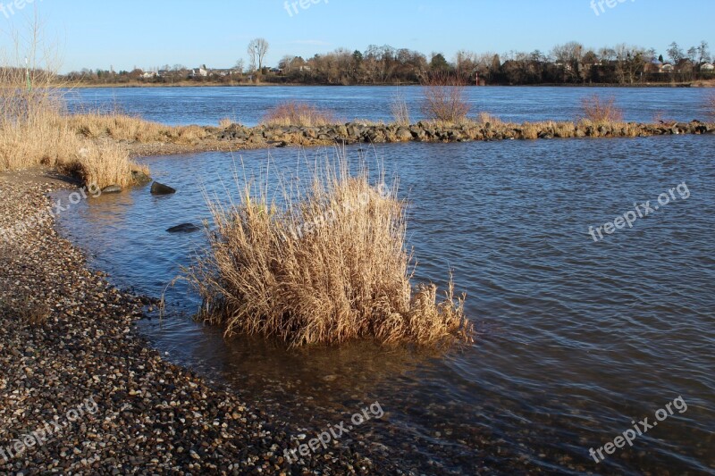 River Landscape Water Bank Nature