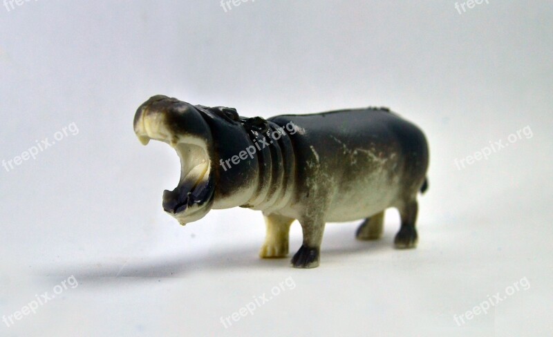 Hippopotamus Toy Icon Fauna Wild