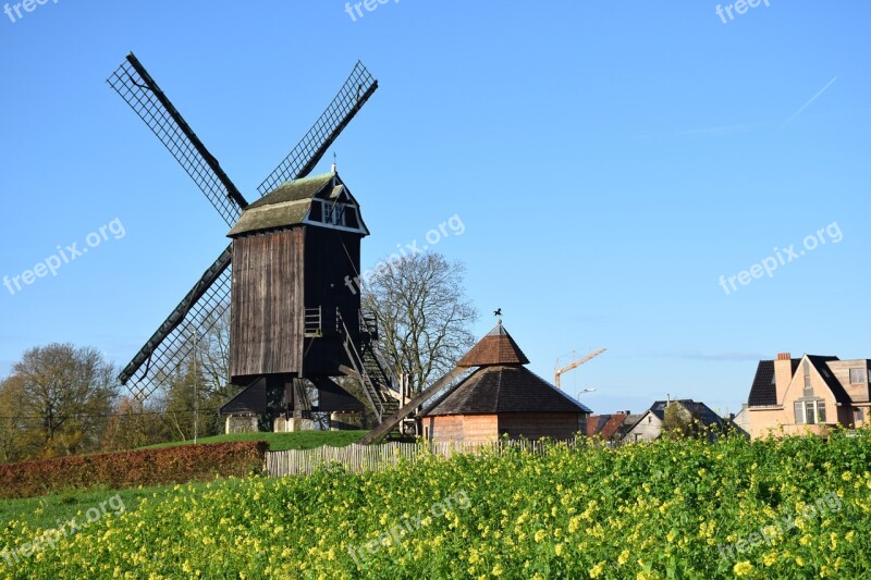 Nature Windmills Herzele Countryside Landscape