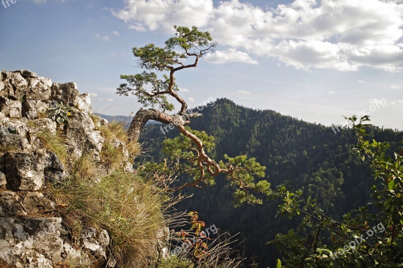 Malopolska Pieniny Sokolica Dunajec Tops