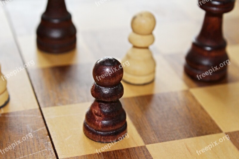 Chess Wood Old Chess Board Chess Pieces