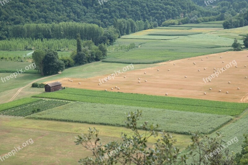 France Field Country Nature Provence