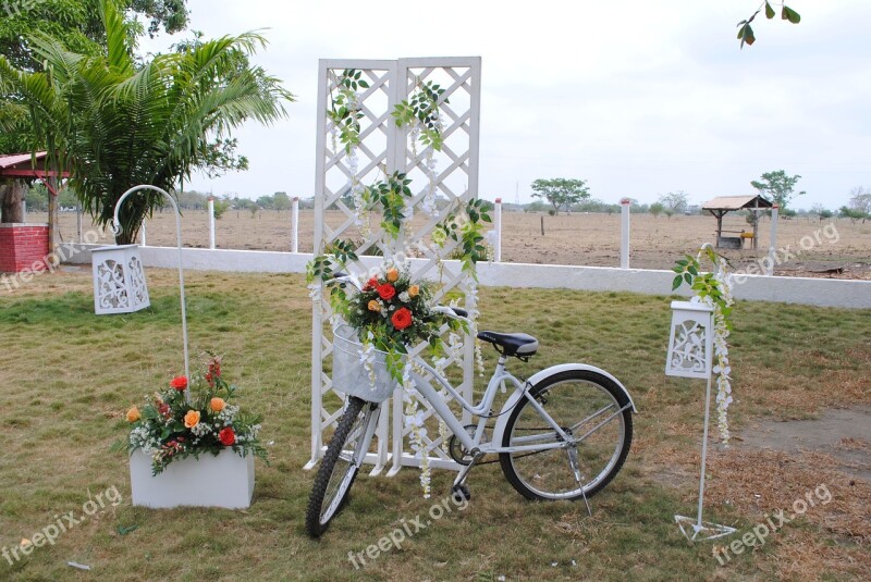 Trim Bicycle Wedding Decoration Roses