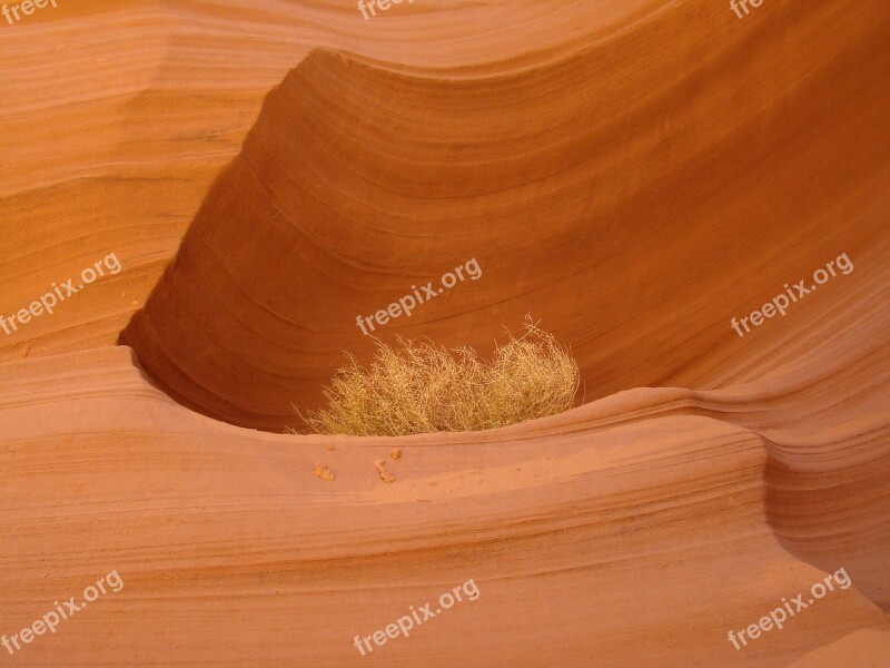 Antelope Canyon Arizona Antelope Canyon Natural